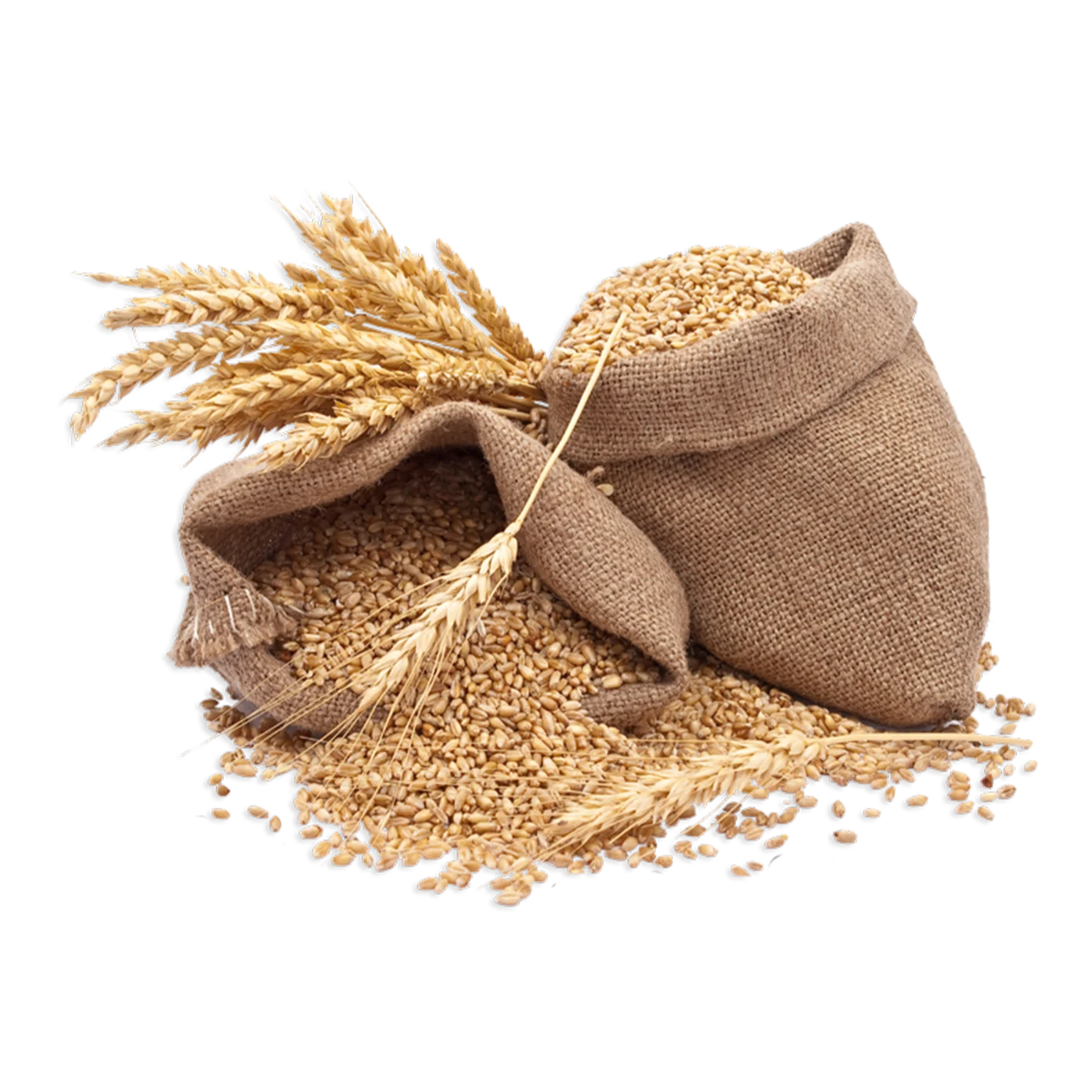 Improved Seeds-001