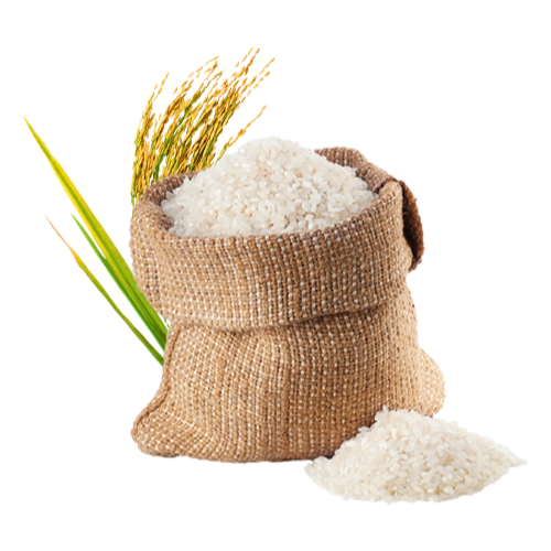 Rice-001